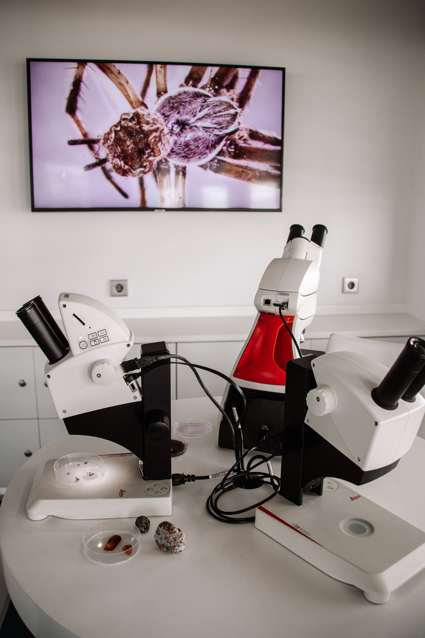 Die Ocean Academy an Bord der HANSEATICspirit