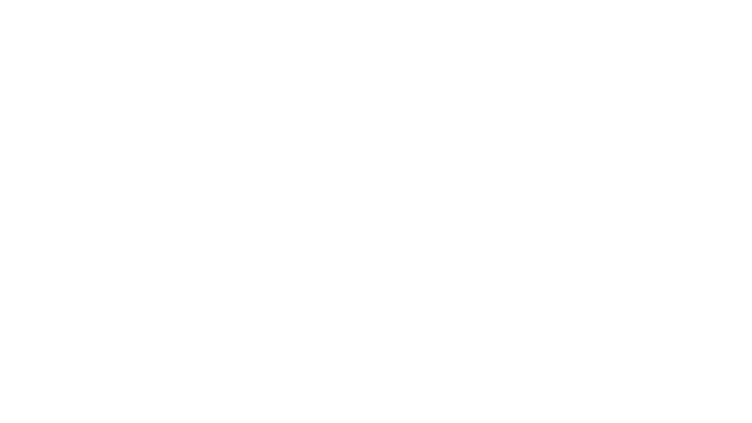 cruiseExperience